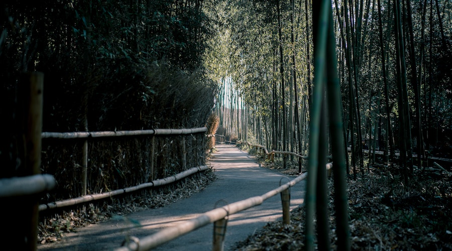 Dusun Bambu Lembang